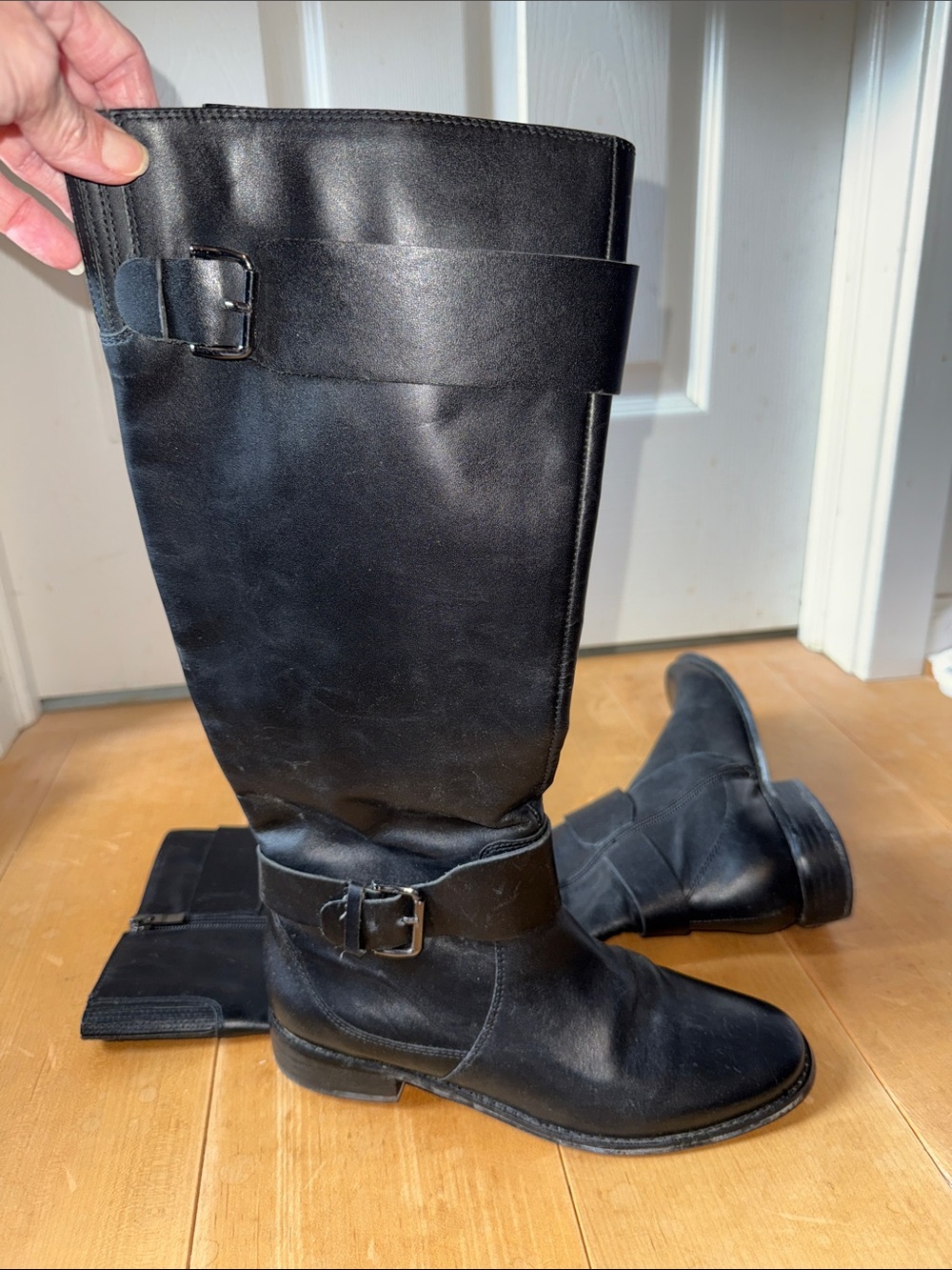 Ellen Tracy Baxter Riding Boots size 6.5 NWT